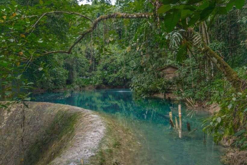 Cebu: Moalboal Sardines & Turtle Snorkeling and Canyoneering - What the $157 price really covers