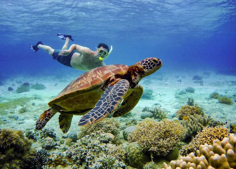Cebu: Moalboal Sardines & Turtle Snorkeling and Canyoneering - Morning pickup and the long road to Moalboal