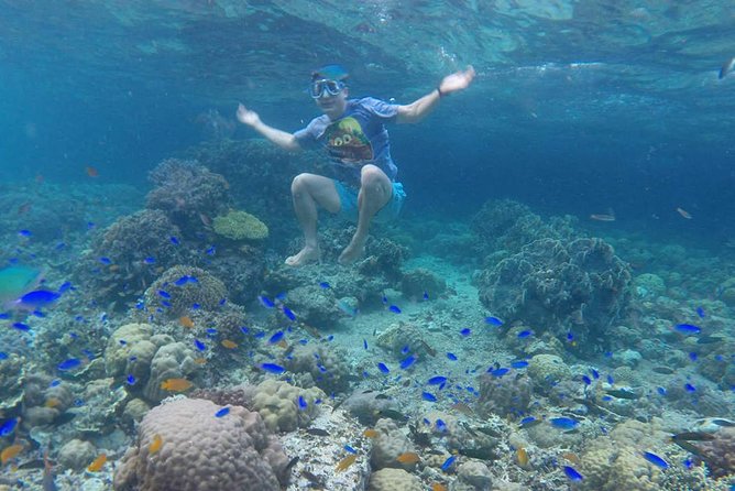 Cebu: Moalboal Sardines, Turtle Snorkeling & Kawasan Canyoneering - The 4:30 am Start and the Road South