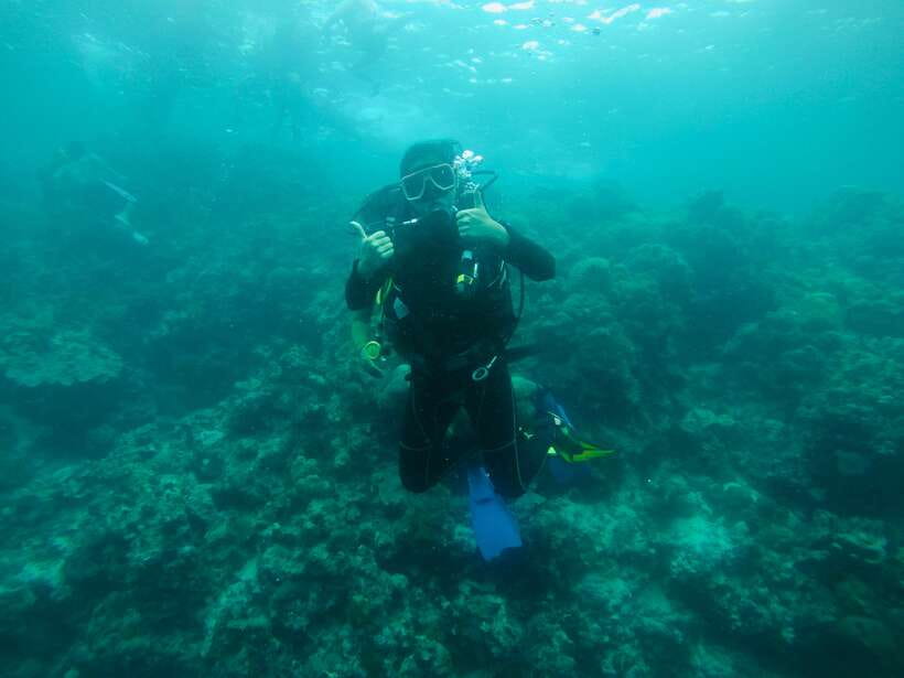 Cebu: Moalboal Scuba Diving with Sardines and Turtle Snorkel - Meeting Millions of Sardines at Panagsama Beach