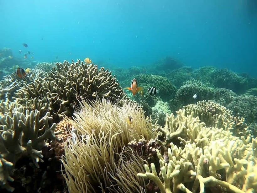Cebu: Moalboal Snorkeling, Mantayupan Falls & ATV Adventure - Mantayupan Falls, Cebu’s tallest cascade