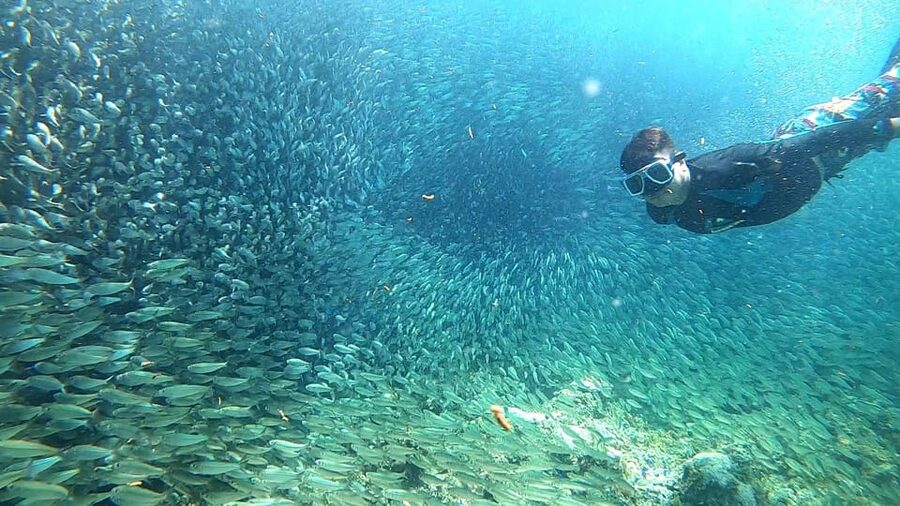 Cebu: Moalboal Snorkeling, Mantayupan Falls & ATV Adventure - What to pack for this particular day