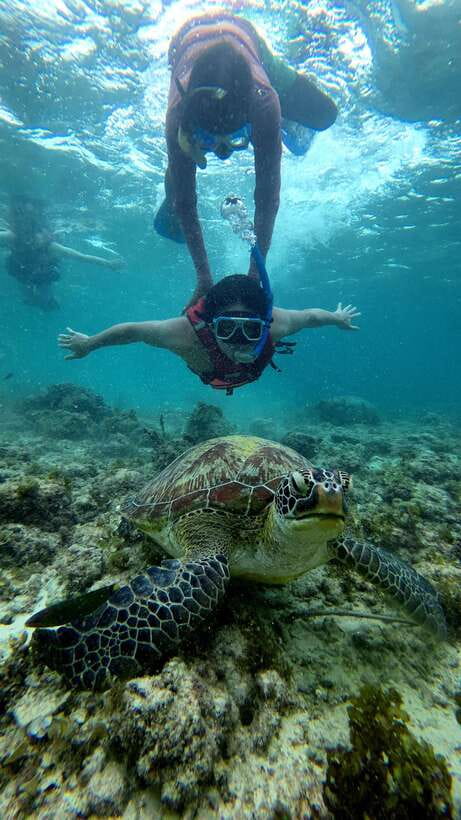 Cebu: Moalboal Snorkeling, Mantayupan Falls & ATV Adventure - Who gets the best value from the $117 price