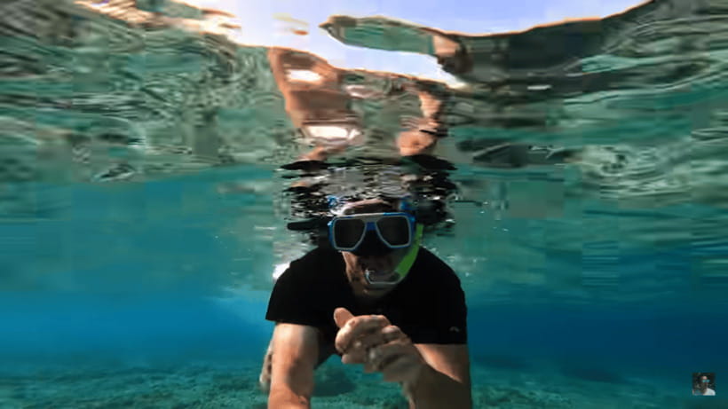 Cebu: Oslob Whale Shark and Moalboal Snorkeling Tour - The final call: book it for variety, not solitude