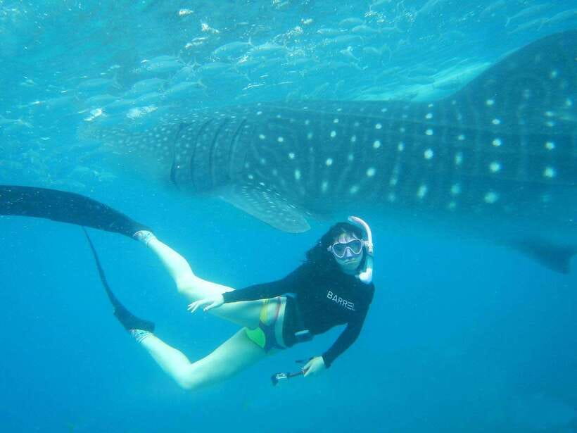 Cebu: Oslob Whale Sharks, Tumalog Falls & Sardine Snorkeling - Oslob Whale Sharks: Magnificent, Managed, and Busy