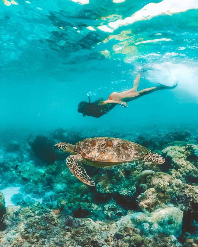 Cebu: Osmeña Peak hike and Sardines Run Snorkel adventure - Key points before you book