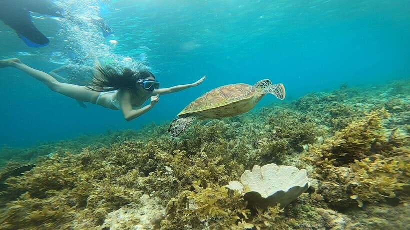 Cebu: Osmeña Peak hike and Sardines Run Snorkel adventure - What the snorkeling stop feels like
