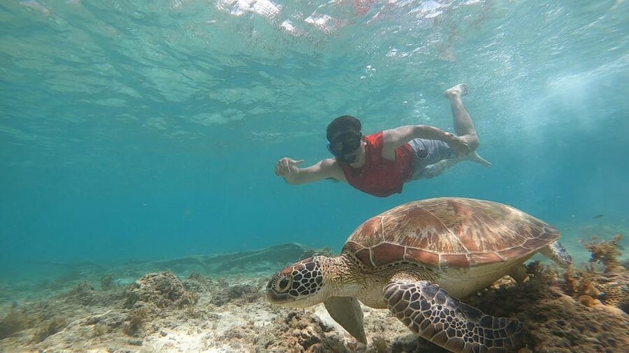 Cebu: Osmeña Peak hike and Sardines Run Snorkel adventure - What is included, and what is not