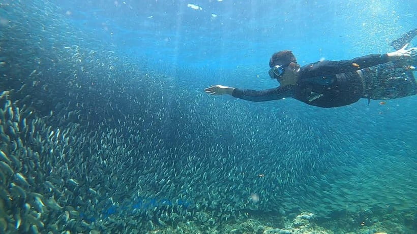 Cebu: Sardine Run Snorkeling, Mantayupan Falls & ATV Thrills - Turtle snorkeling: memorable, but not always peaceful