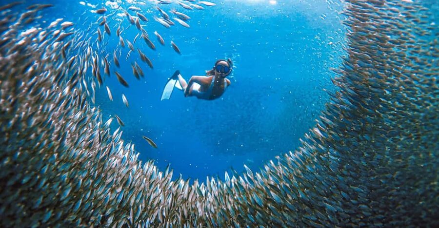 Cebu: Sardine Run Snorkeling, Mantayupan Falls & ATV Thrills - The private vehicle is the real convenience