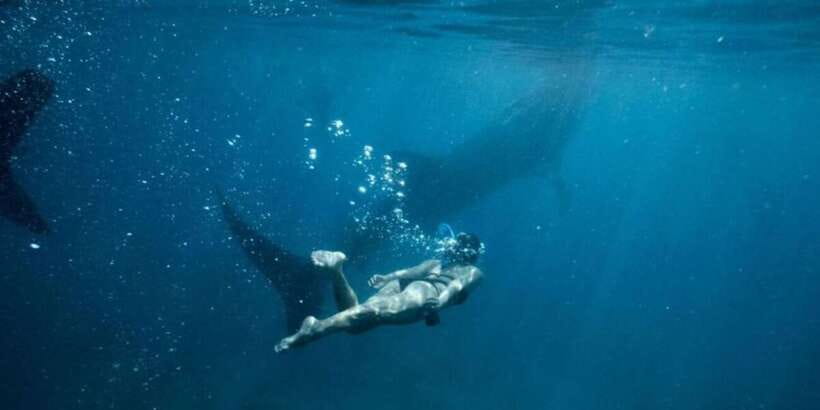 Cebu: Sumilon Sand Bar, Whale Sharks & Sardines Snorkeling - What the 14-hour schedule really feels like