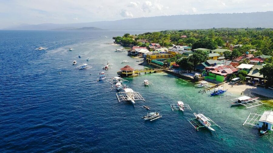 Cebu: Whale Shark, Monkey Sanctuary, & Moalboal Snorkel Tour - The Monkey Sanctuary near Oslob