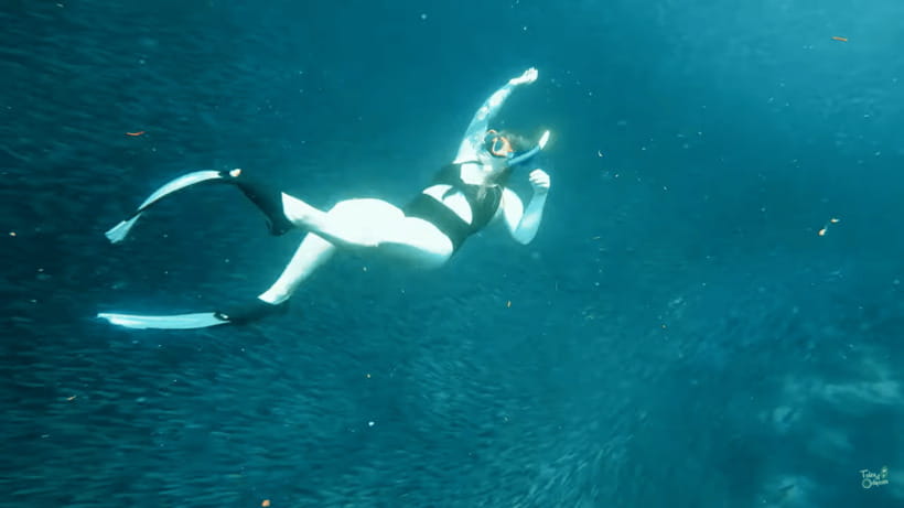 Cebu: Whale Shark Oslob and Moalboal Snorkeling Adventure - What the $119 price really covers