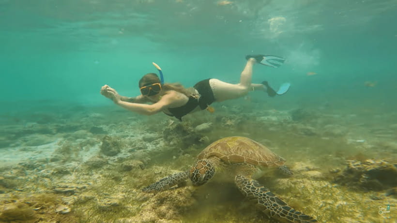 Cebu: Whale Shark Oslob and Moalboal Snorkeling Adventure - The 2 a.m. pickup and the road south