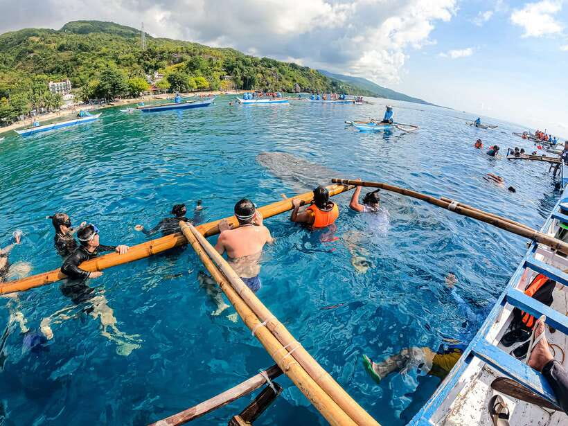 Cebu: Whale Shark Snorkeling & Kawasan Canyoning Tour - Booking advice for a smoother day
