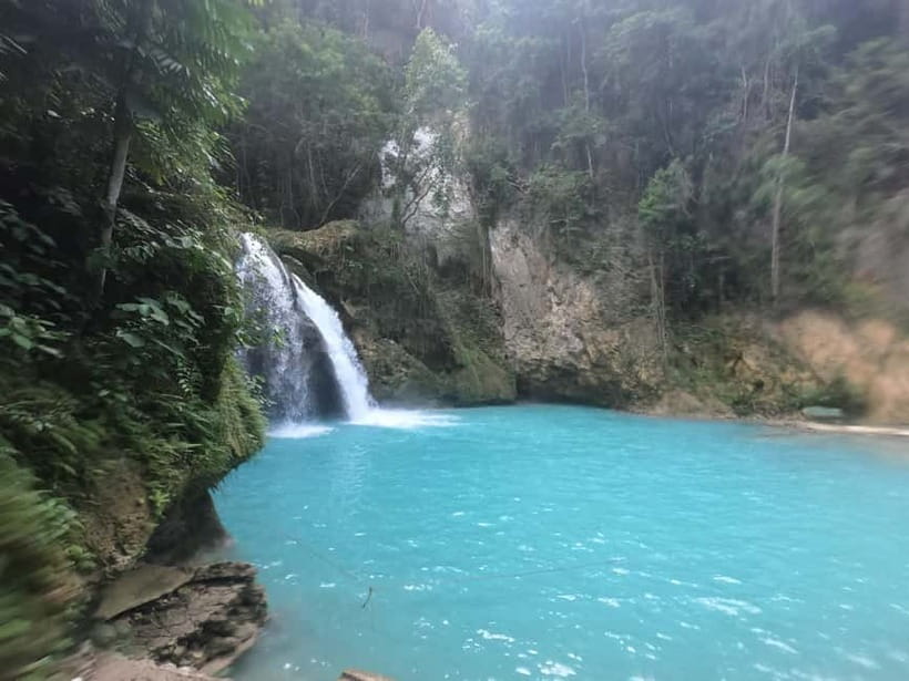 Cebu: Whale Sharks, Kawasan Falls, & Sardines Run Snorkeling - Why this Cebu combination works