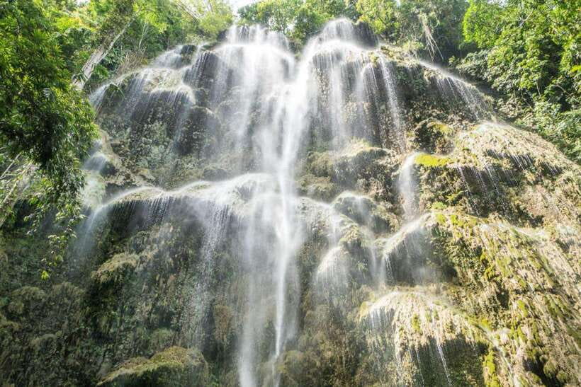 Cebu: WhaleShark , Tumalog Falls, & Sardine Run Snorkeling - Who should book this Cebu tour?