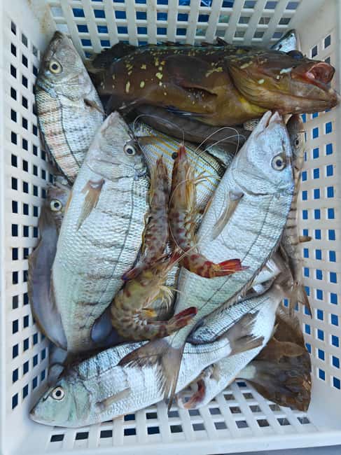 Cefalù: boat trip with fishing, coastal tour, snorkeling, and lunch on board - Lunch Cooked on the Boat