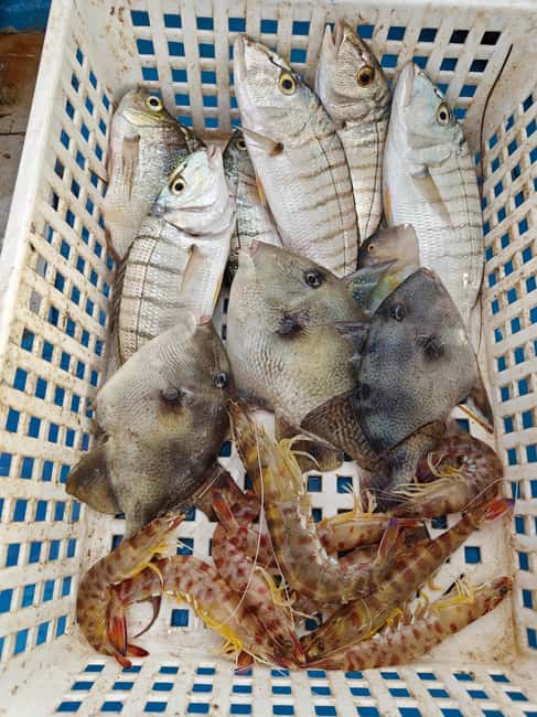 Cefalù: boat trip with fishing, coastal tour, snorkeling, and lunch on board - FAQ