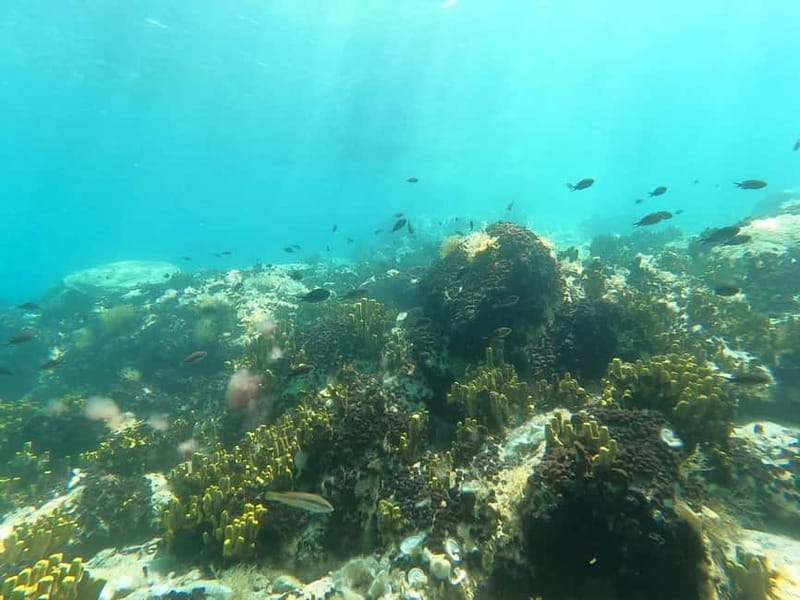 Chalkidiki: Snorkeling Adventure in Sithonia - Key Points to Know Before You Book