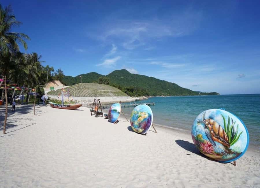 Cham Island: 1-Day Speedboat Trip with Snorkeling and Lunch - Key points to know before you book