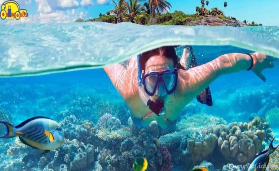 Cham Island: 1-Day Speedboat Trip with Snorkeling and Lunch - Who will enjoy this Cham Island trip?
