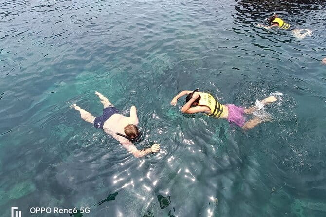 Cham Island: Snorkeling Tour - Practical advice for making the day better