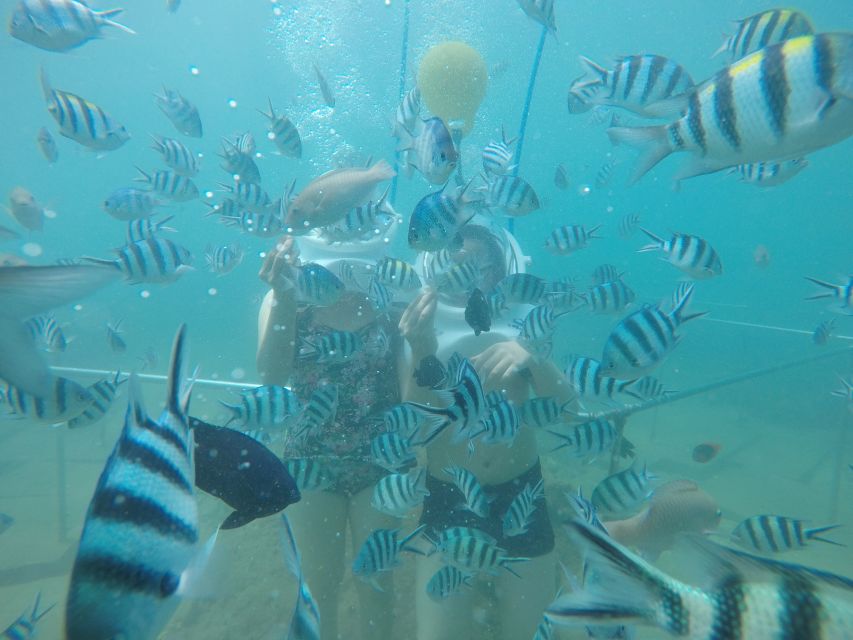 Cham Island: Underwater Walking & Snorkeling Tour - Key points to know before booking