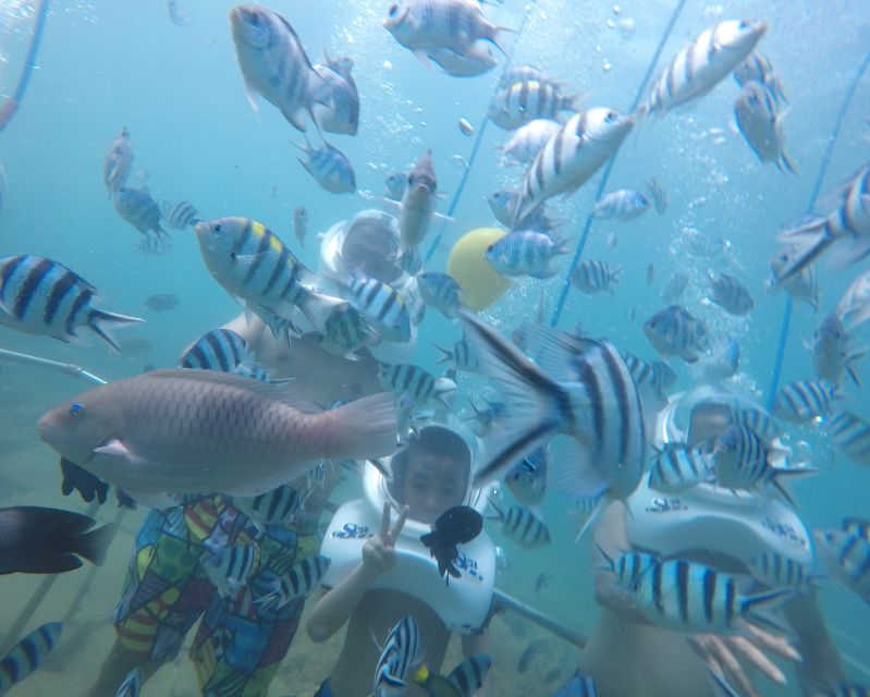 Cham Island: Underwater Walking & Snorkeling Tour - Snorkeling around Cham Island