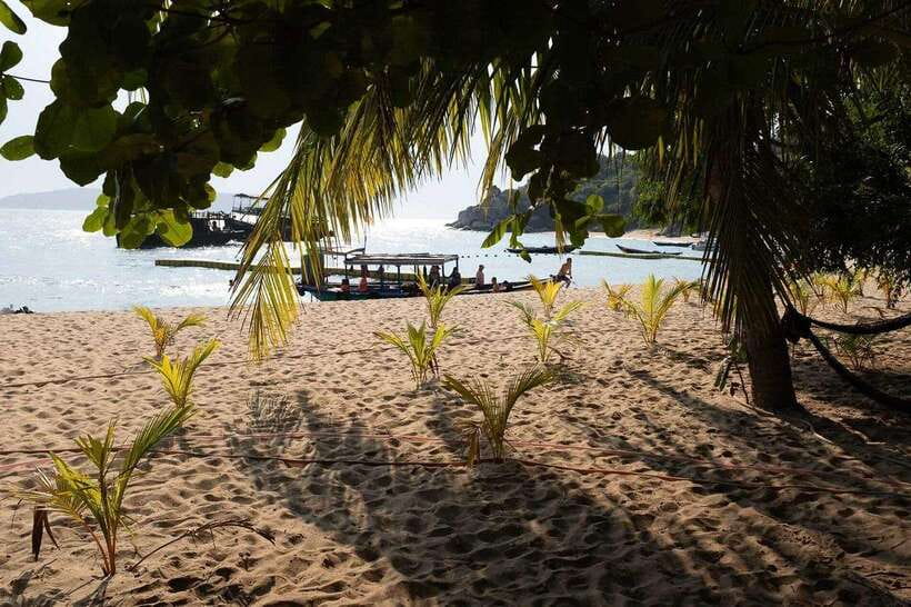 Cham Islands Snorkeling Tour by Speedboat : Hoi An/Da Nang - A quick look at the Cham Islands day trip