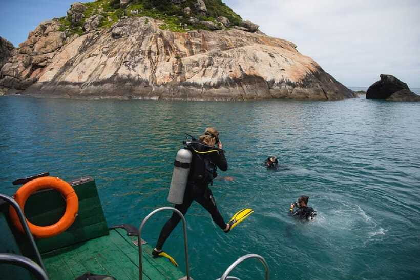 Cham Islands Snorkeling Tour by Speedboat : Hoi An/Da Nang - Lang Beach, Hai Tang Pagoda, and the fishing village