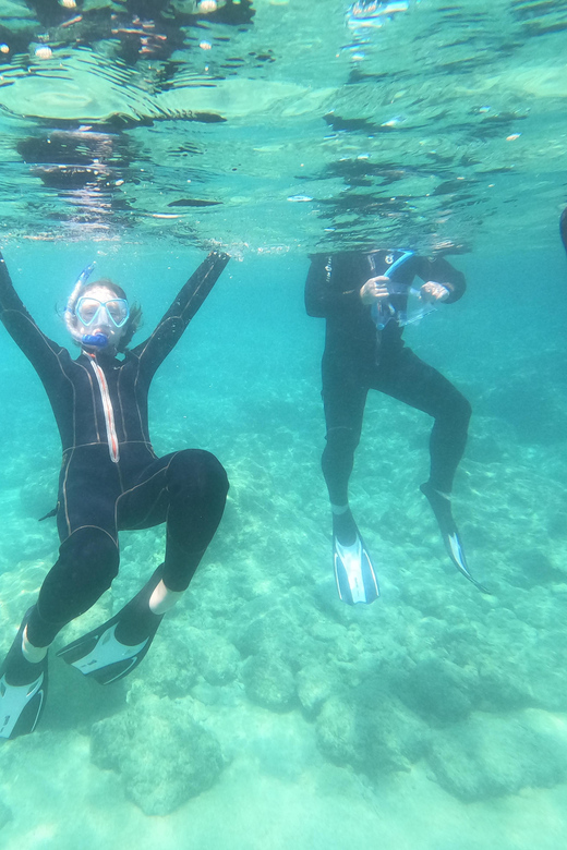 Chania: Boat Trip with Guided Snorkeling Tour - What makes the guides valuable