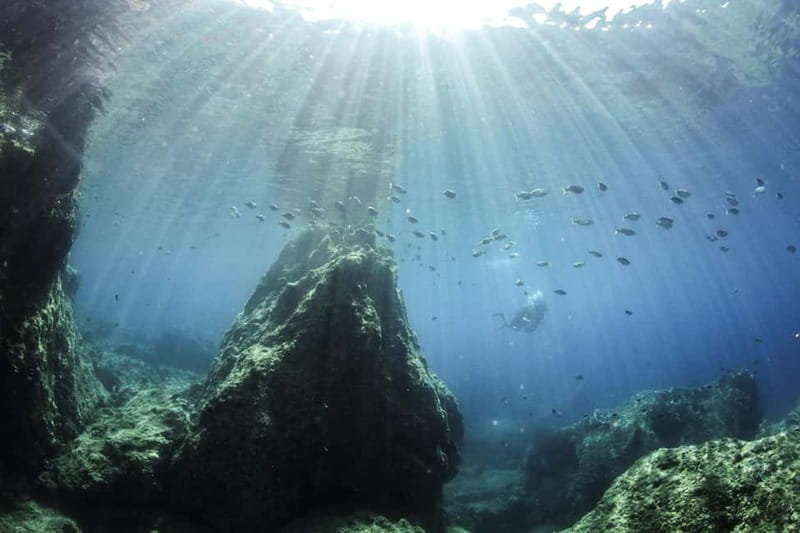 Chania: Scuba Diving and Snorkeling for Beginners by Boat - The key details at a glance