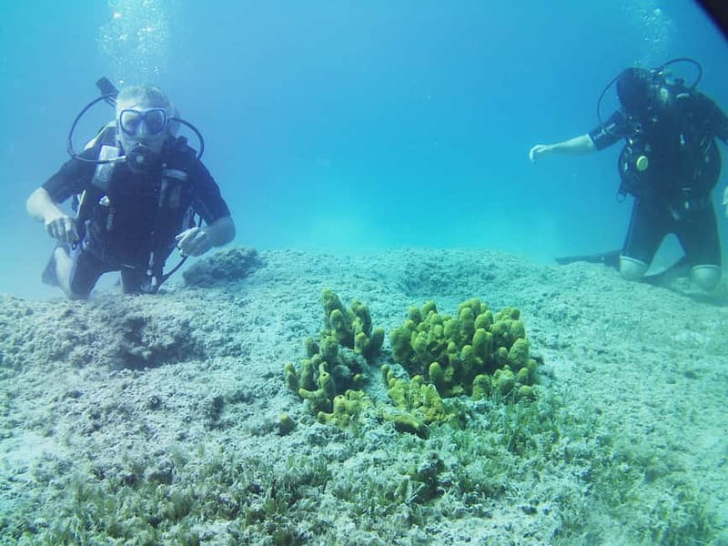 Chania: Scuba Diving and Snorkeling for Beginners by Boat - Who will get the most from this outing