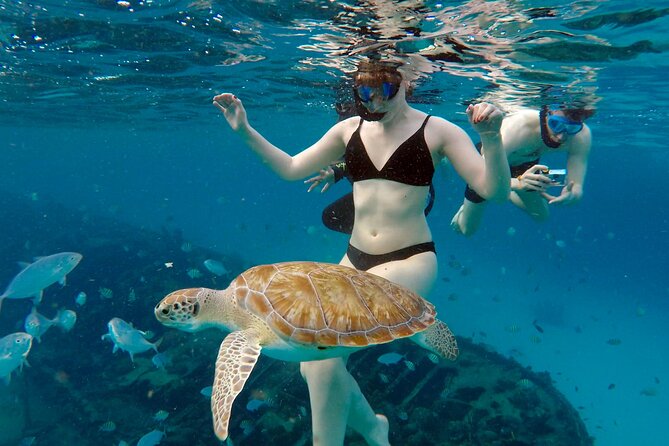 Che’s snorkel cruise! turtles & shipwrecks (semi private) - First stop: the turtle habitat