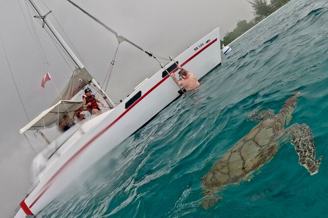 Che’s snorkel cruise! turtles & shipwrecks (semi private) - A personal style instead of a party cruise