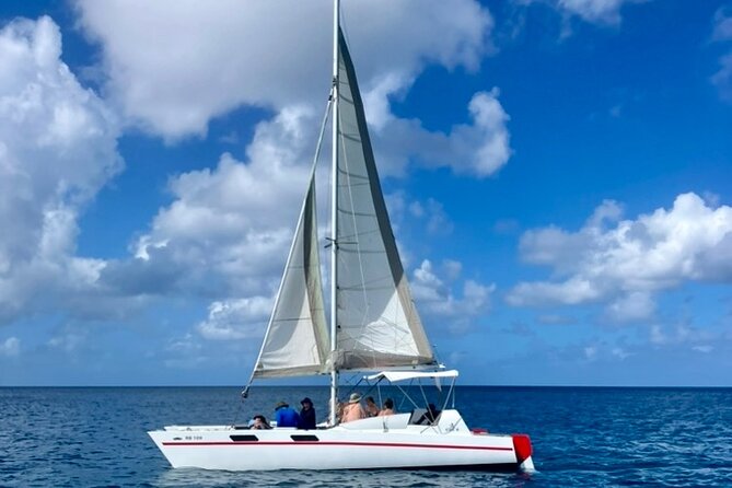 Che’s snorkel cruise! turtles & shipwrecks (semi private) - Safety, age rules, and physical demands