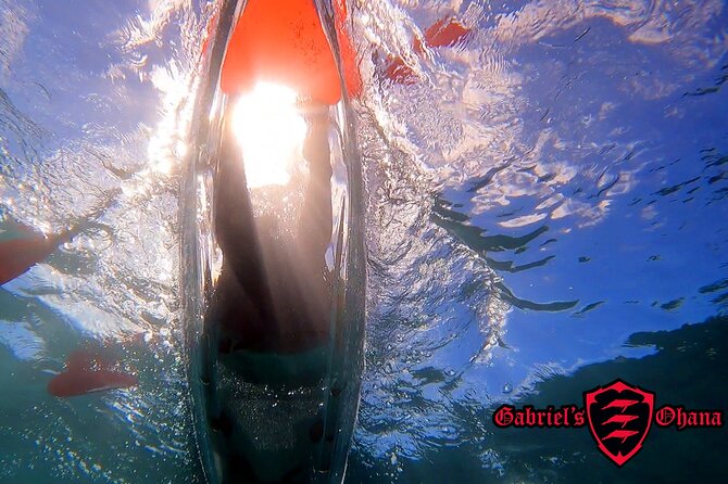 Clear Kayak Tour with Pontoons and Optional Snorkeling-Unlimited - Key points to know before you book