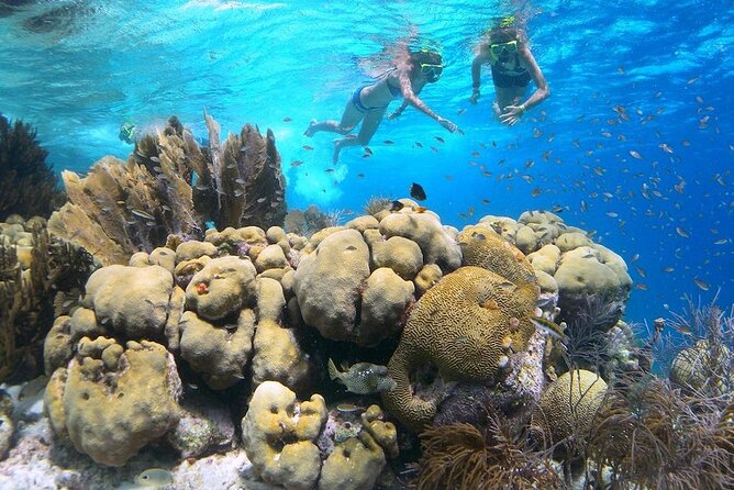 Clearbottom Mangrove Kayak & Snorkel tour - Starting at Lac Cai Beach and Lac Bay National Park