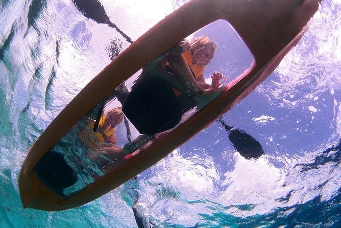 Clearbottom Mangrove Kayak & Snorkel tour - The guides and the feel of the group