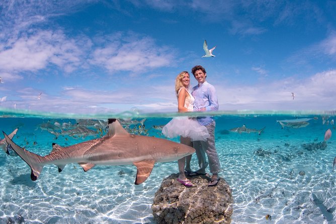 Combo Diving and Snorkeling Full Day Tour - Afternoon Snorkeling Through Bora Bora’s Lagoon