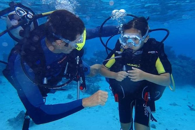 Combo Diving and Snorkeling Half-Day Tour - What makes this Bora Bora outing different