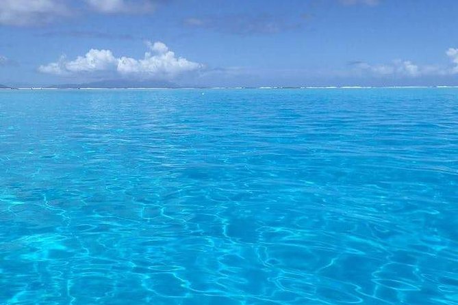 Combo Diving and Snorkeling Half-Day Tour - Choosing the scuba location and looking for manta rays