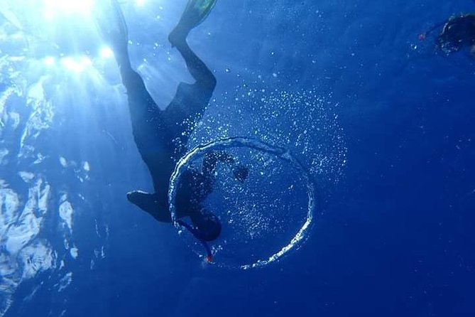 Combo Diving and Snorkeling Half-Day Tour - Practical details before you book