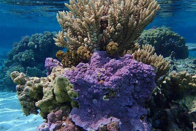 Combo Diving and Snorkeling Half-Day Tour - The first stop: a calm introduction to scuba