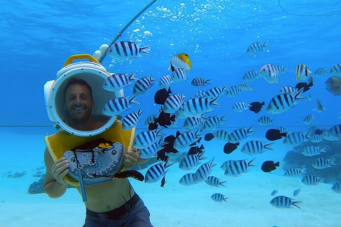Combo snorkeling + motu lunch + jet ski group tour full day - The guide can shape the whole experience