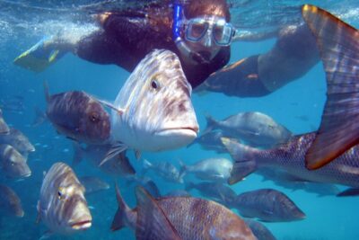 Coral Bay: 2-Hour Coral Viewing and Snorkeling