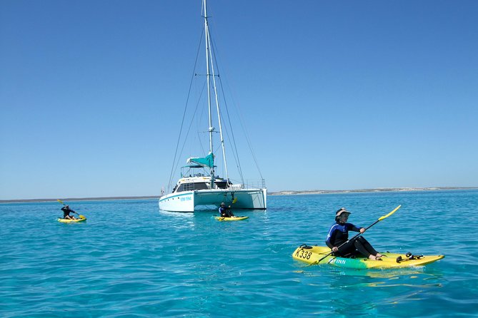 Coral Bay: 2-Hour Coral Viewing and Snorkeling - What the two-hour schedule really feels like