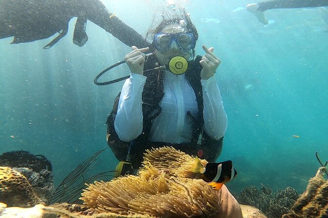 Coral Reef Snorkeling and Floating Bar Party from Nha Trang - The crew matters as much as the islands