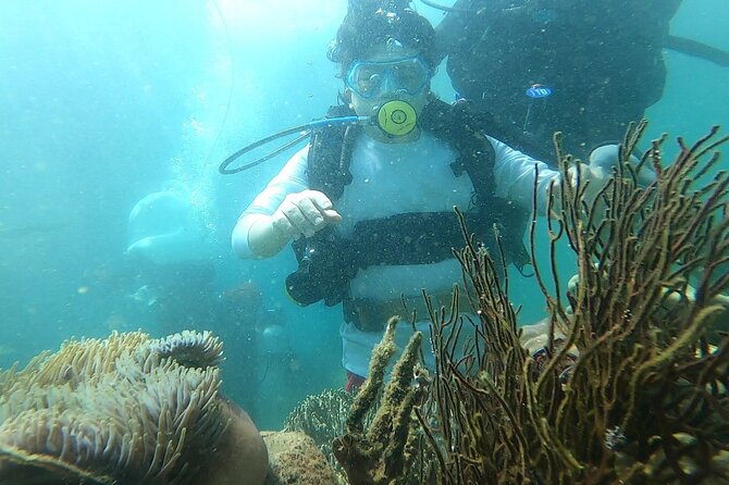 Coral Reef Snorkeling and Floating Bar Party from Nha Trang - Hòn Tằm brings the snorkeling and brunch